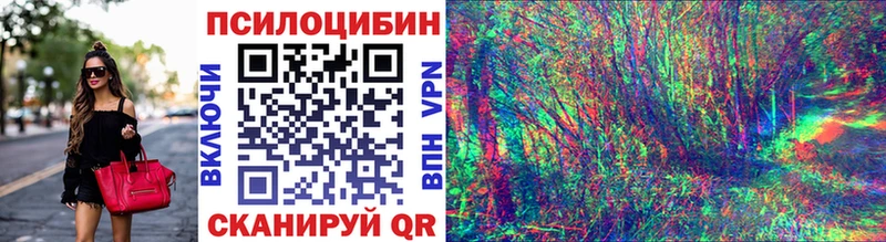 Псилоцибиновые грибы Psilocybine cubensis  Купить где  Новая Усмань 